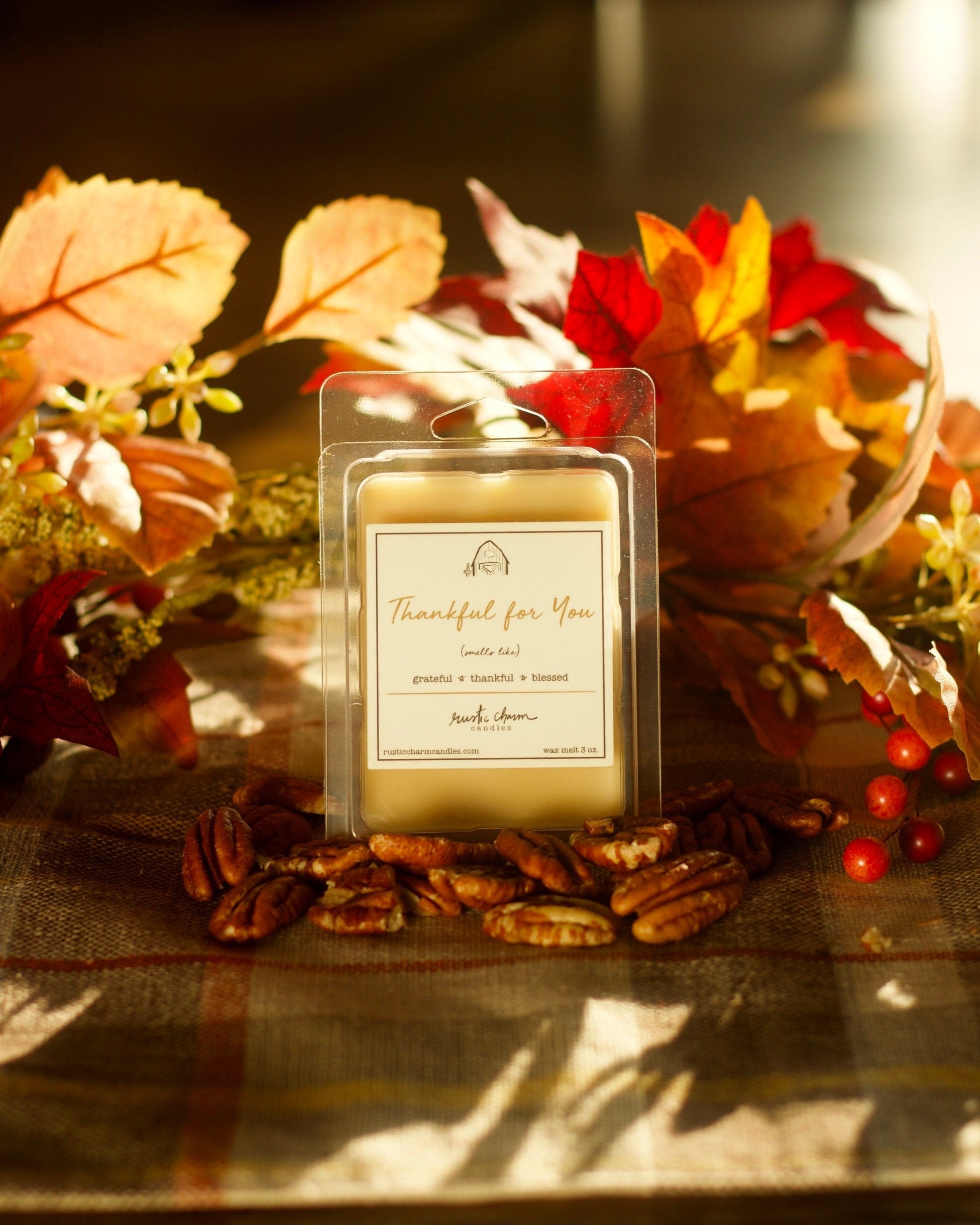 Thankful for You Wax Melt